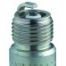 NGK USA Spark Plugs YR55 (7240)