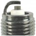 NGK USA Spark Plugs BPR7ES-SOLID (3785)