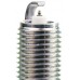 NGK USA Spark Plugs LKR6BGP-E (96002)